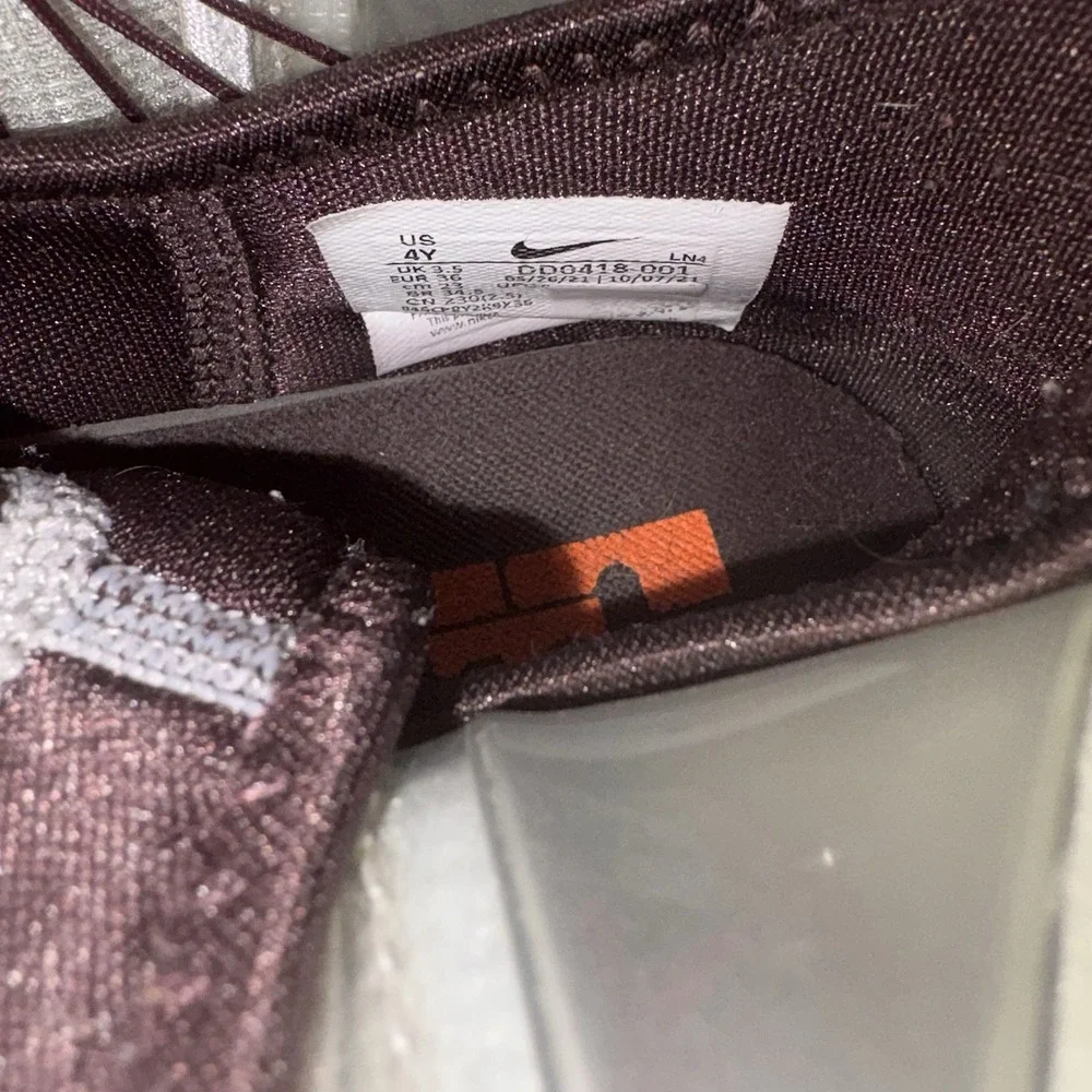 Nike lebron 19